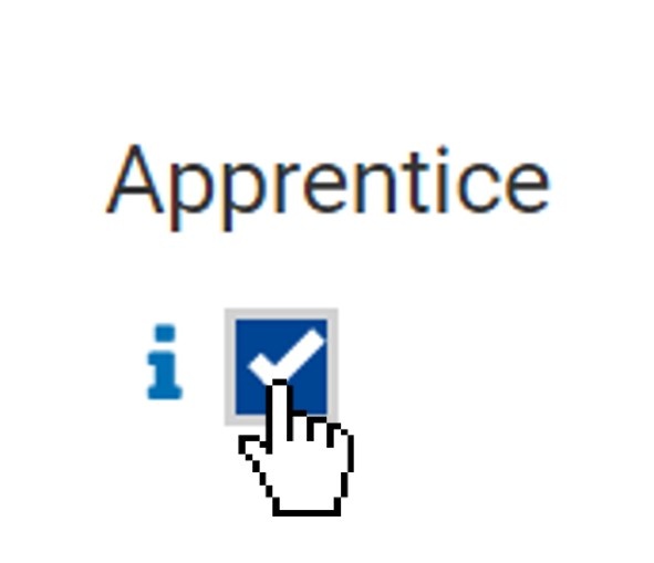 Apprentice flag