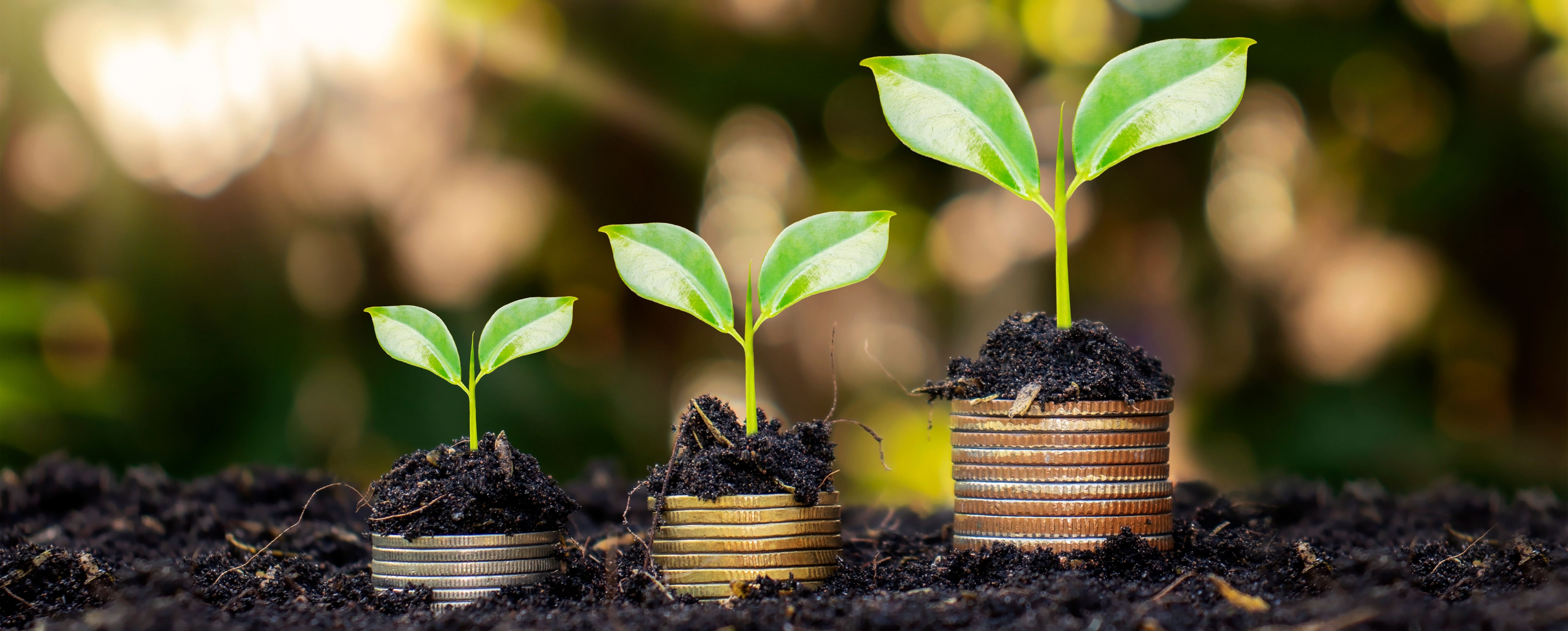 EXACT External Wiki - EN > 2.2. Greening budget support > shutterstock_1886249908.jpg (.)