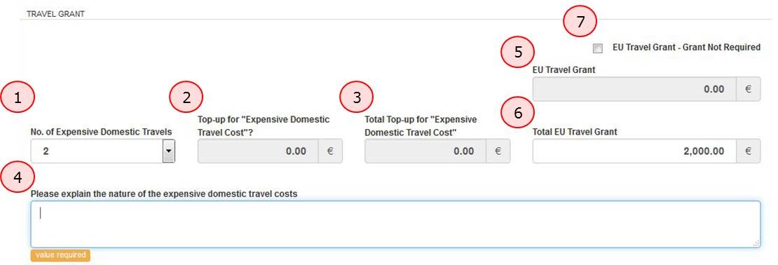 Expensive domestic travel form