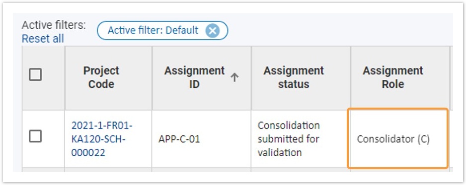 Assignment role Consolidator