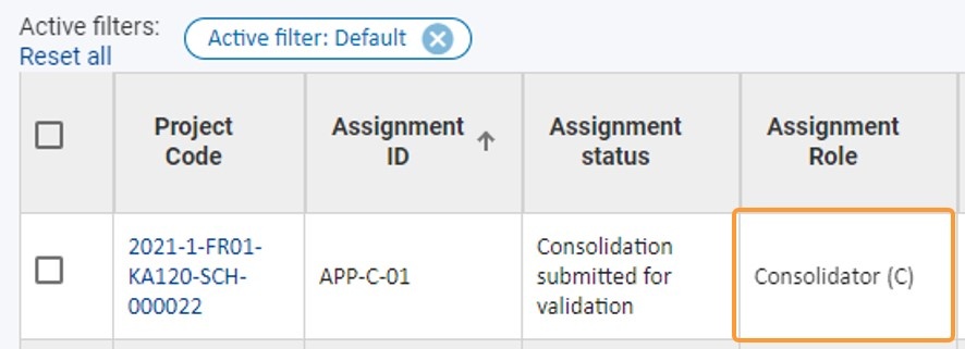 Assignment role Consolidator