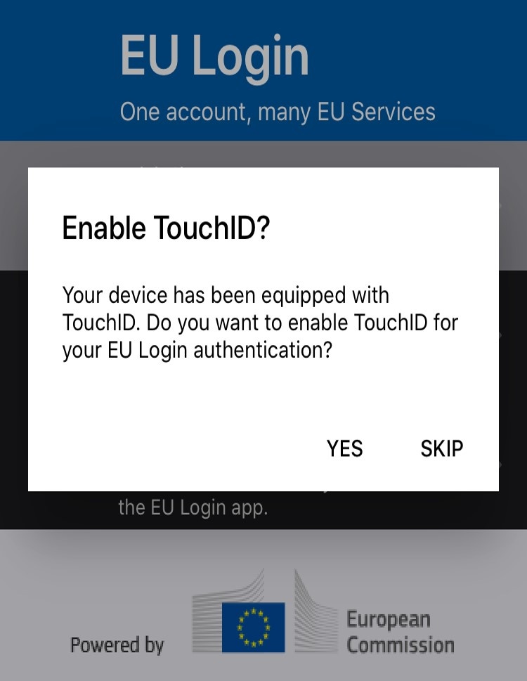 Enable Touch ID
