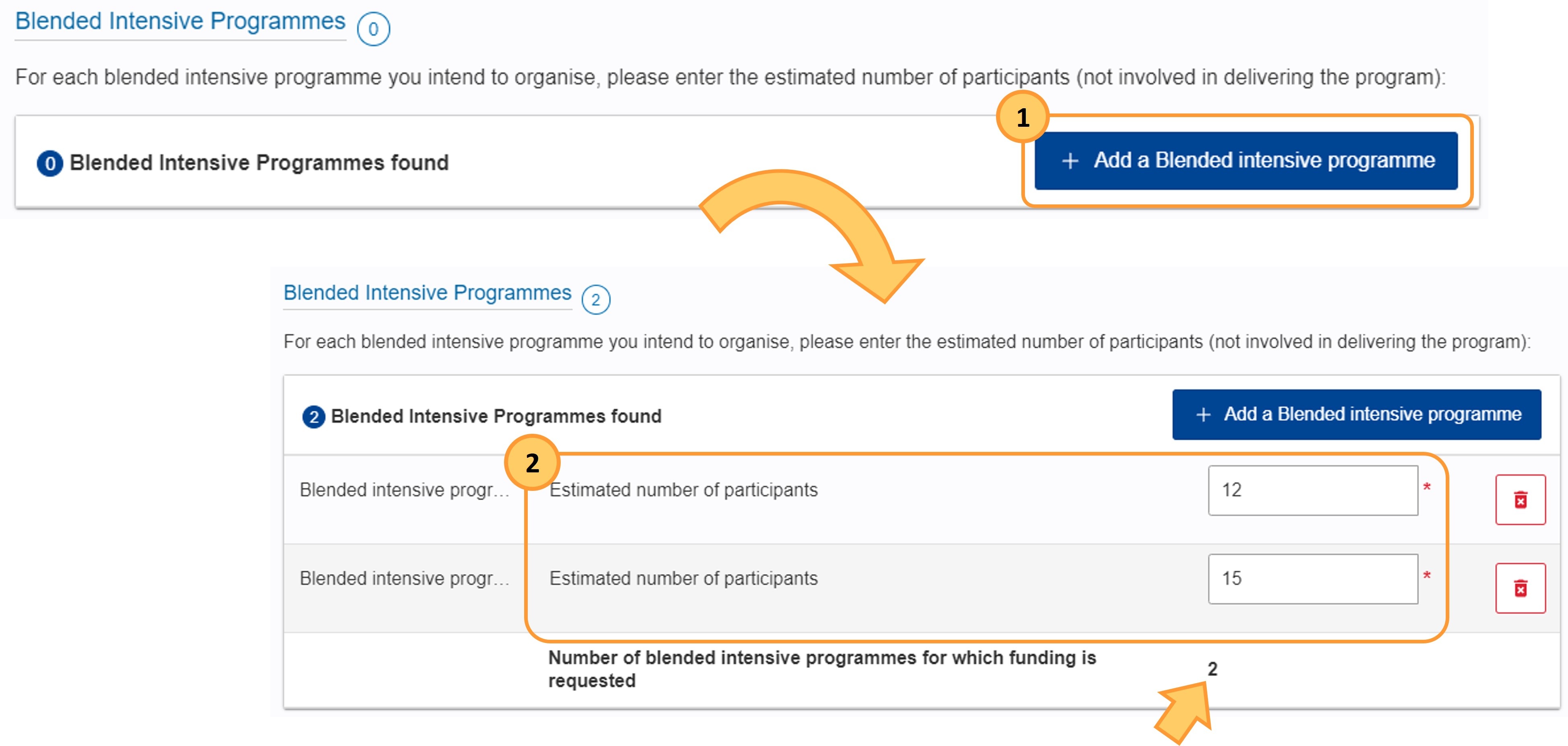Add a Blended intensive programme