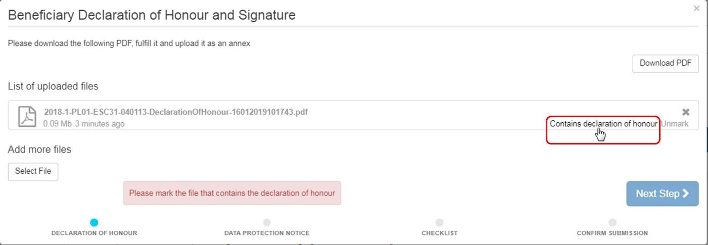 Confirm that reports contains Declaration of Honour