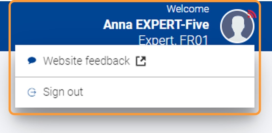 Signed in user information display and Sign out option
