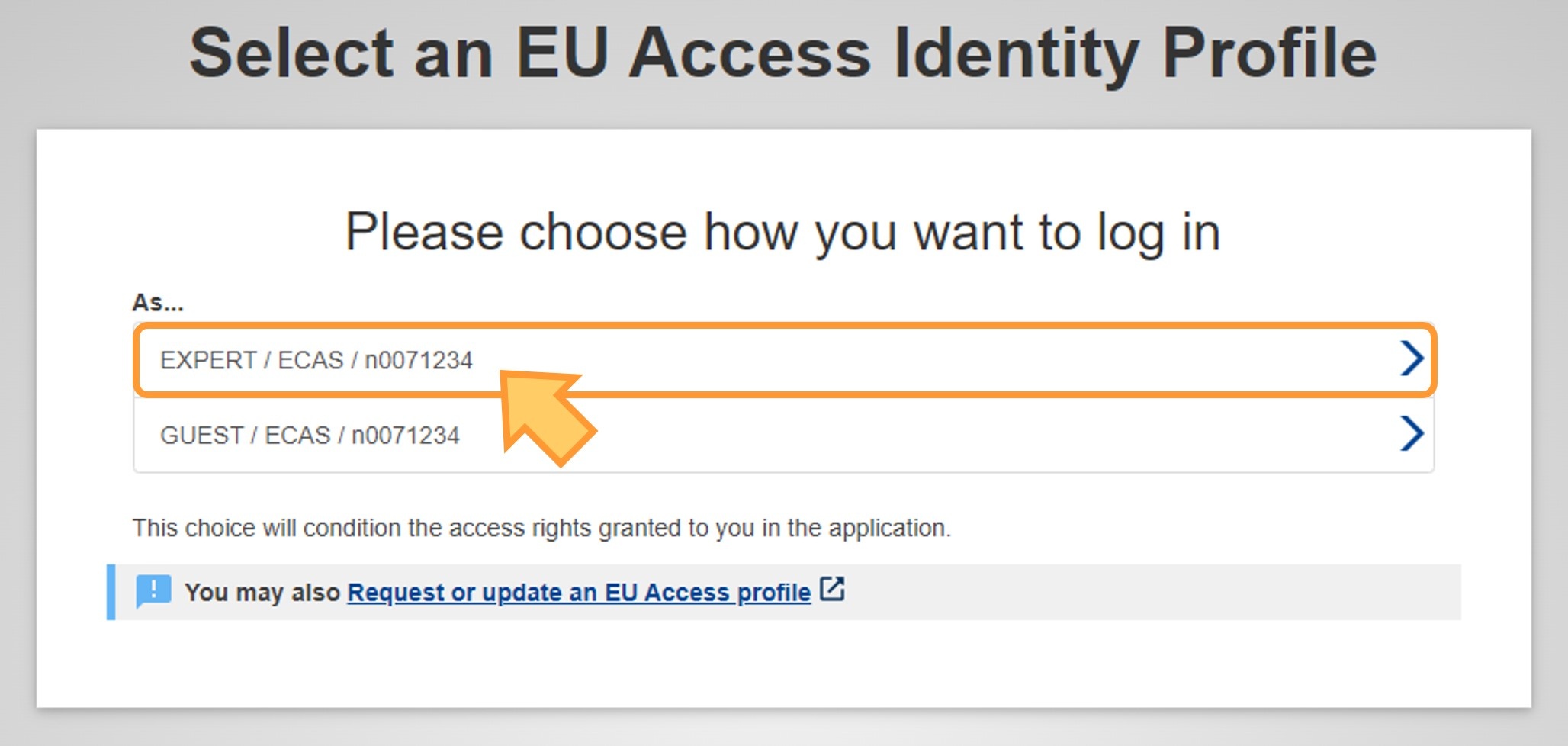 Select the expert EU Access Identity Profile