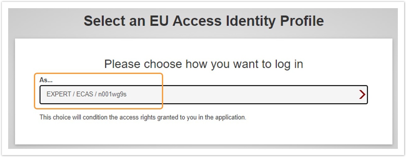 Confirm your EU Access Identity Profile