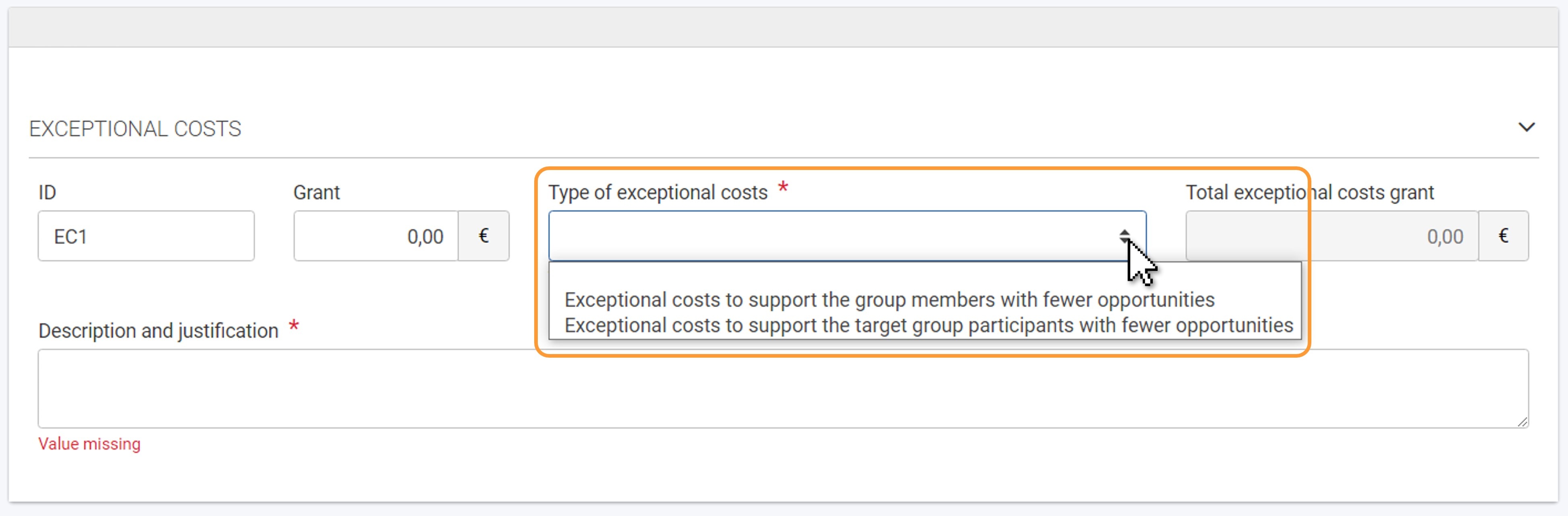 Type of exceptional costs field available for call 2024 projects