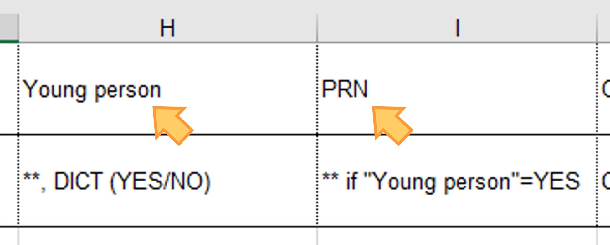 Young person and PRN columns