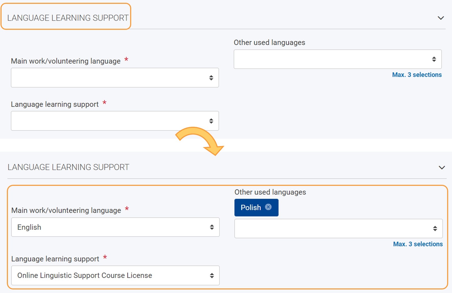 Example of Language Learning Support section