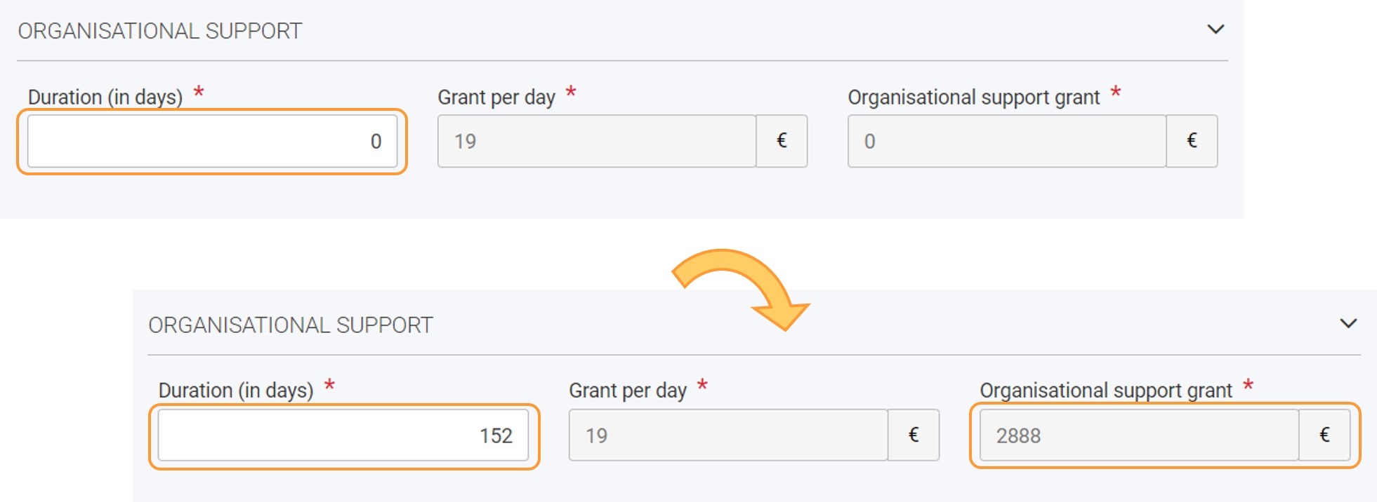 Example of Organisational Support section