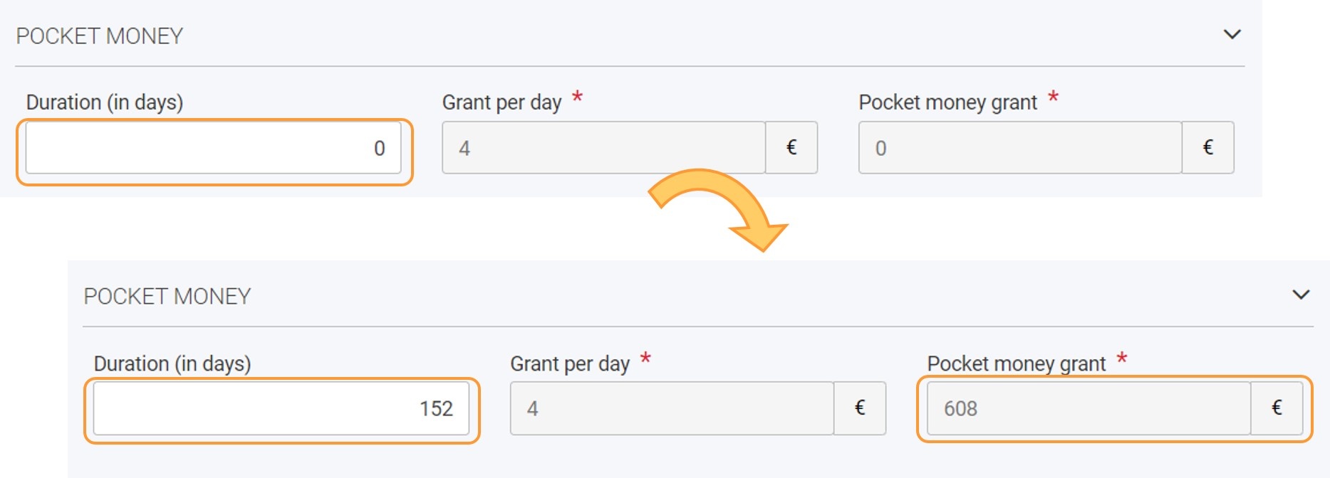 Example of Pocket Money section