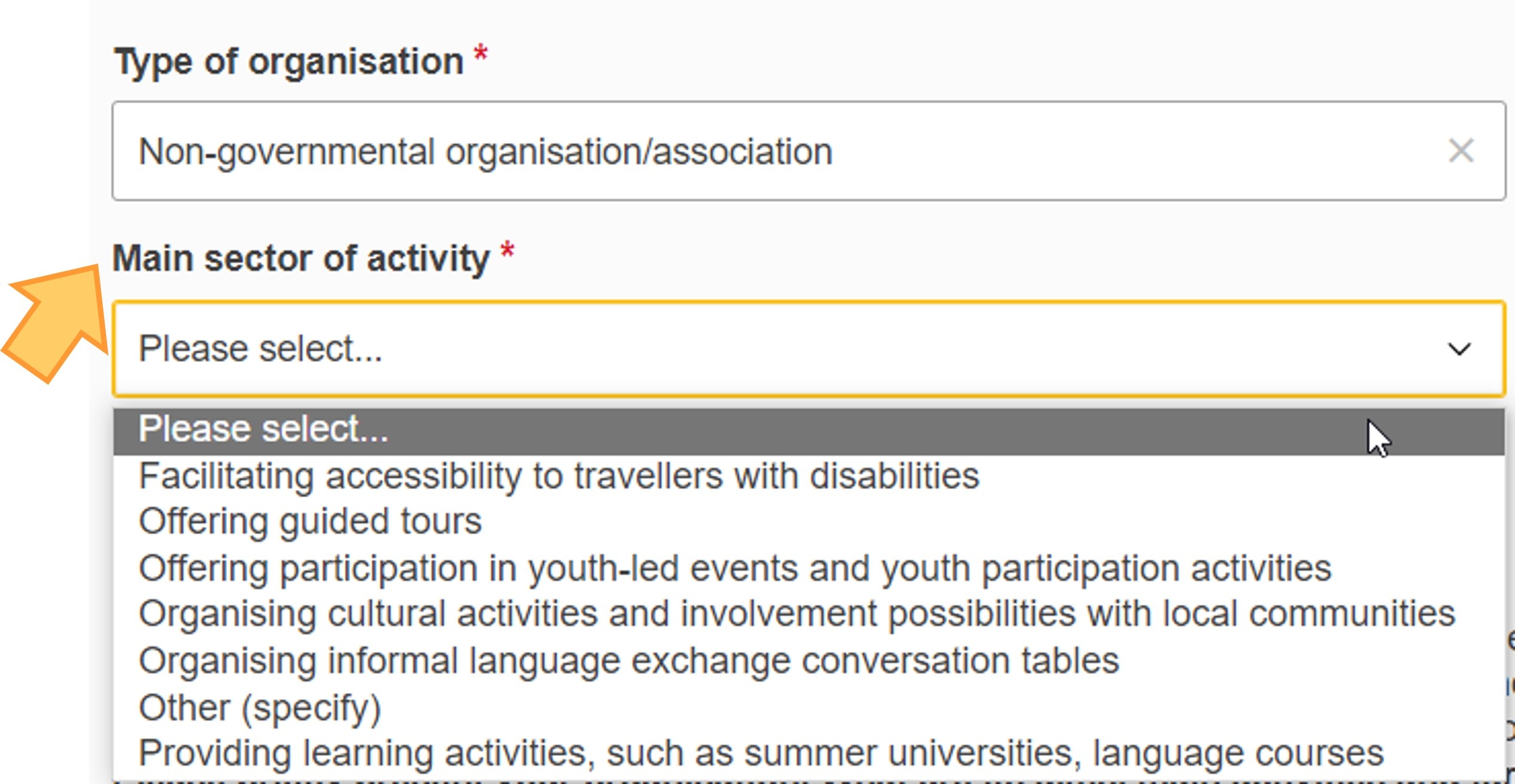 Select the Main sector of activity, if applicable