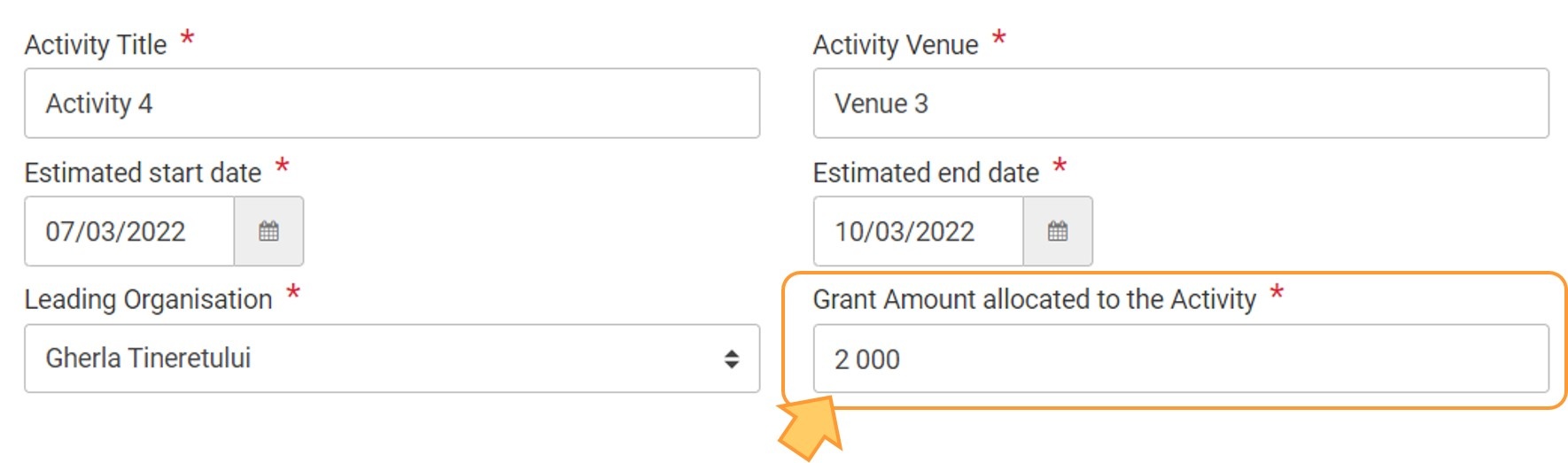 Type the Grant mount allocated to the activity