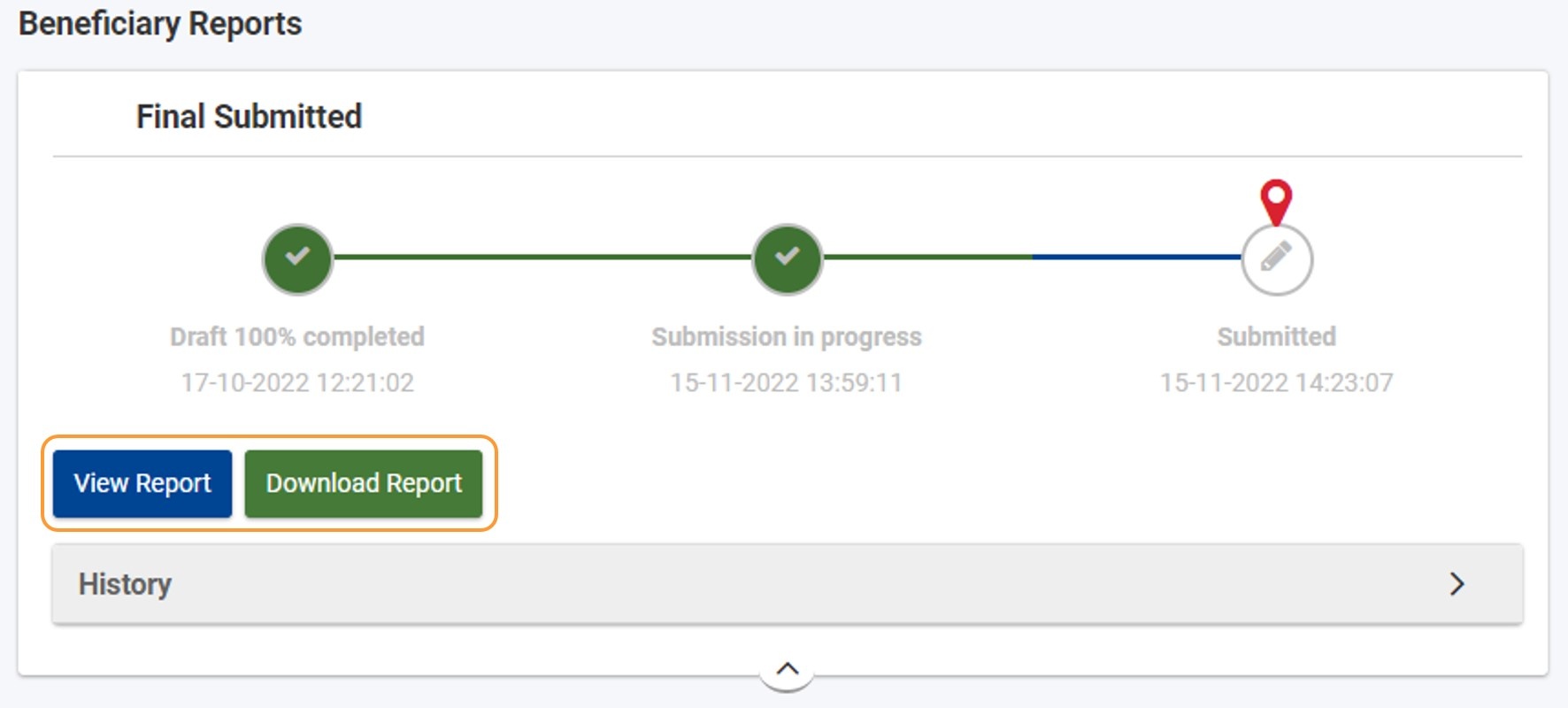 View or download the report after submission