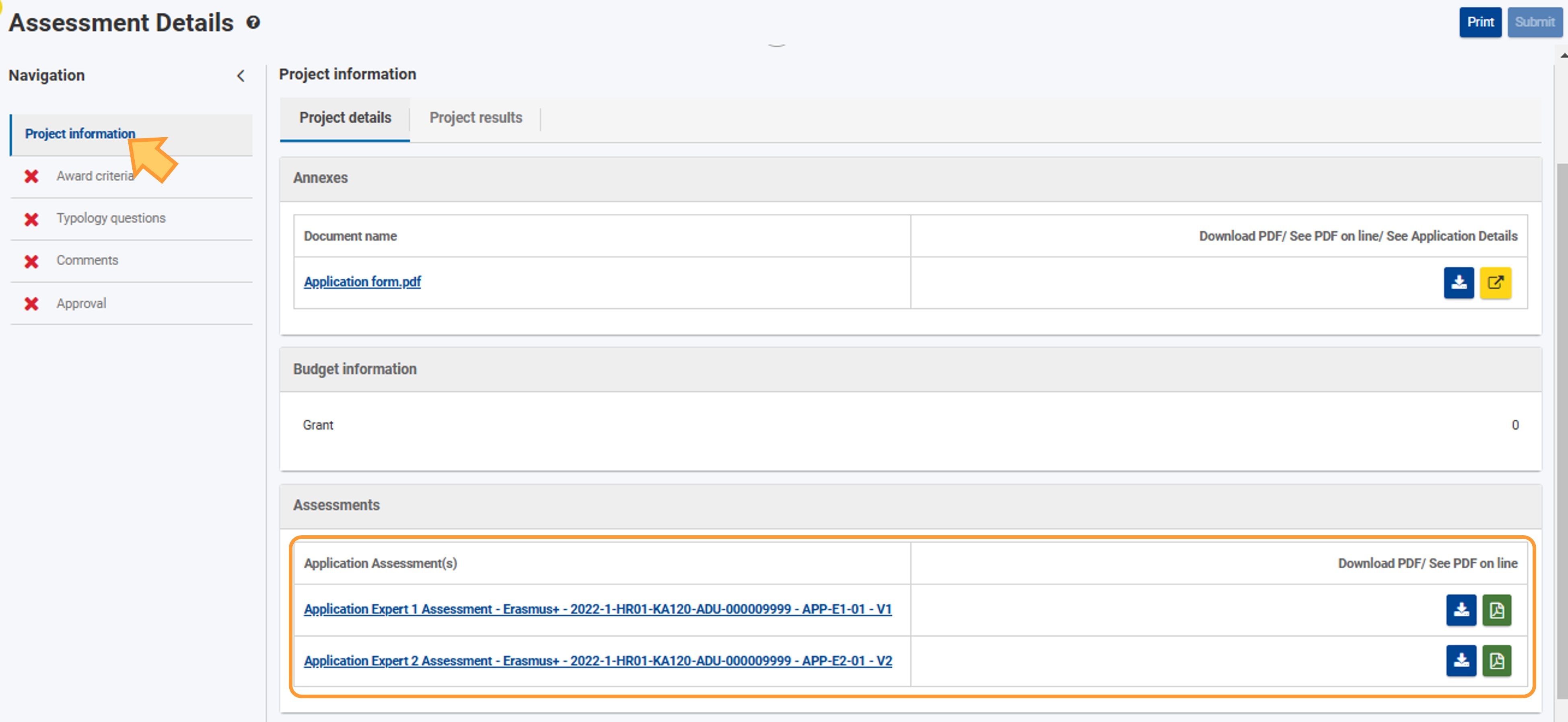 Project information tab