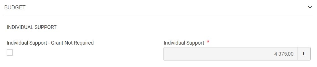 Example of Individual Support grant