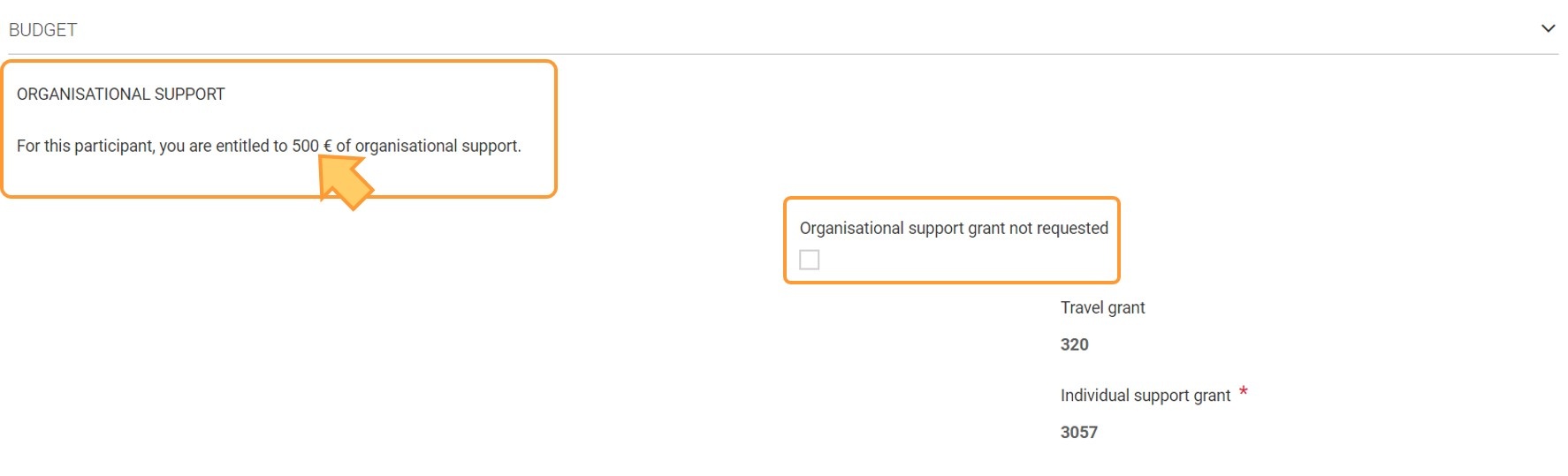 Organisational Support grant