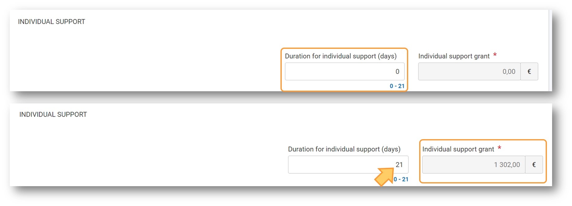 Individual Support Individual Support
