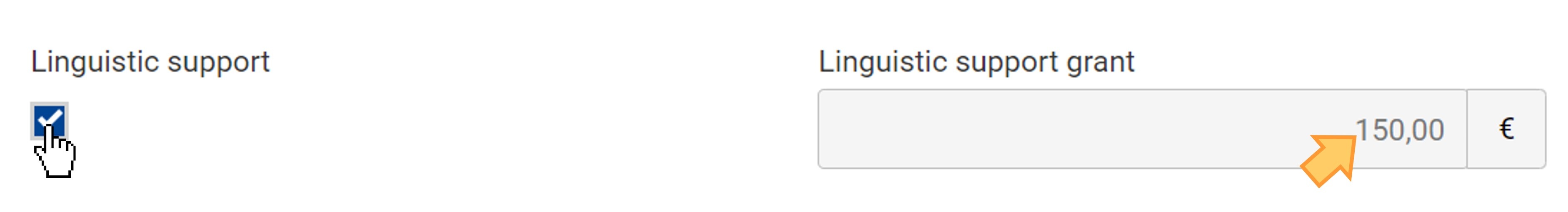 In Job shadowing and observation periods activities with duration of 31 days and more, Linguistic support can be requested