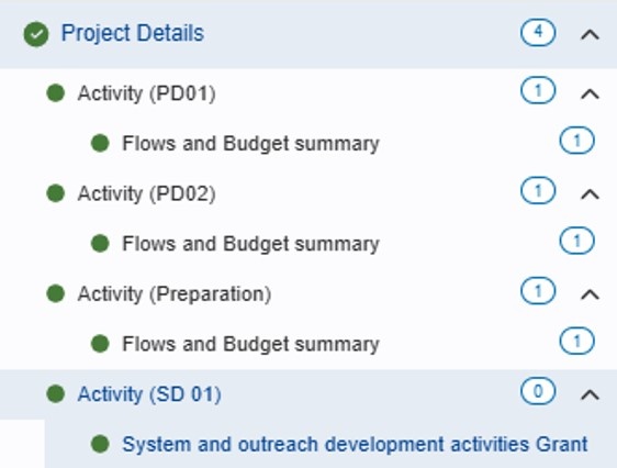 Completed Project Details section