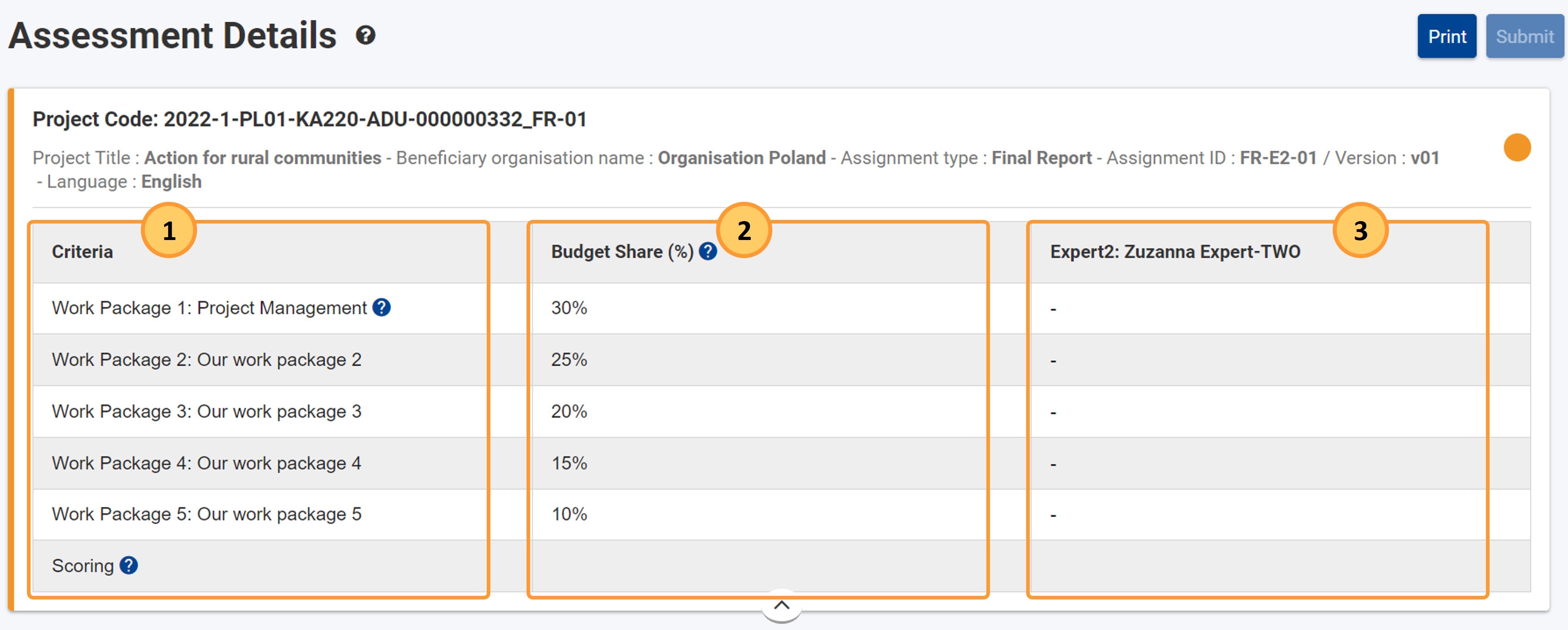 Example of the expanded header in a KA220, call 2022, final report expert assignment that has not yet been filled in